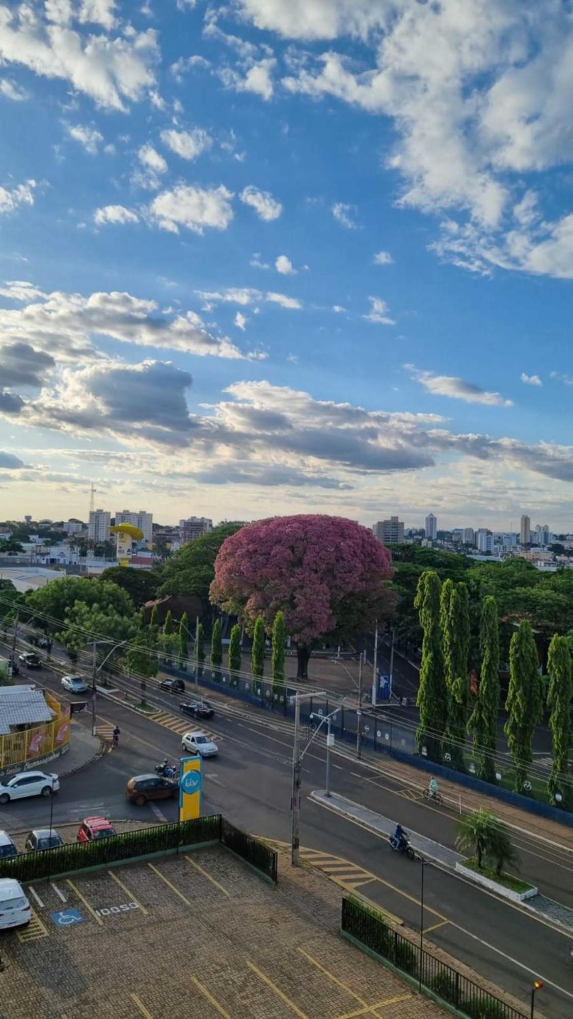 Hotel Golden Park Uberaba By Nacional Inn Номер фото